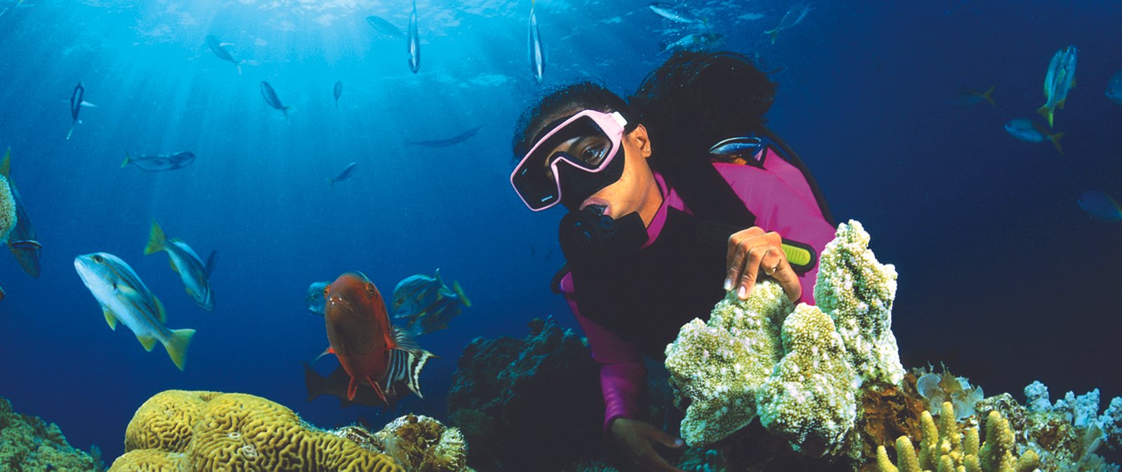 The Ultimate Sri Lankan Undersea Expedition